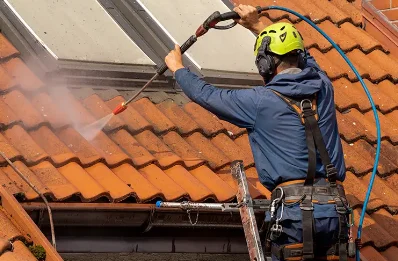 Démoussage et hydrofuge de toiture à Vandrimare